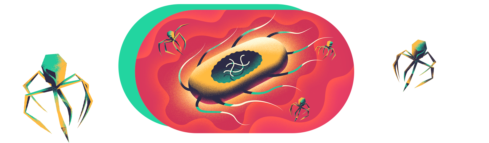 Banner bacteria