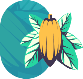 Cacao