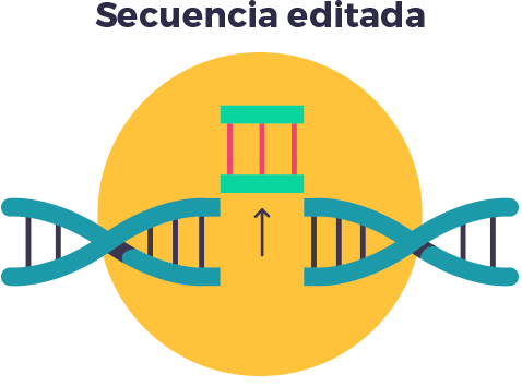 Finalización de la edición