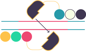Ilustración del paso3