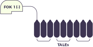 Ilustración del paso2