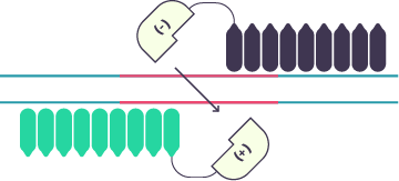 Ilustración del paso3