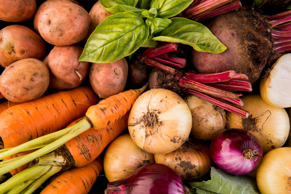 cultivos mejorados edición plantas modificadas crispr