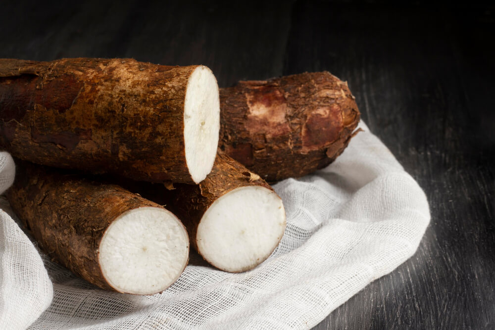 yuca sin cianuro crispr