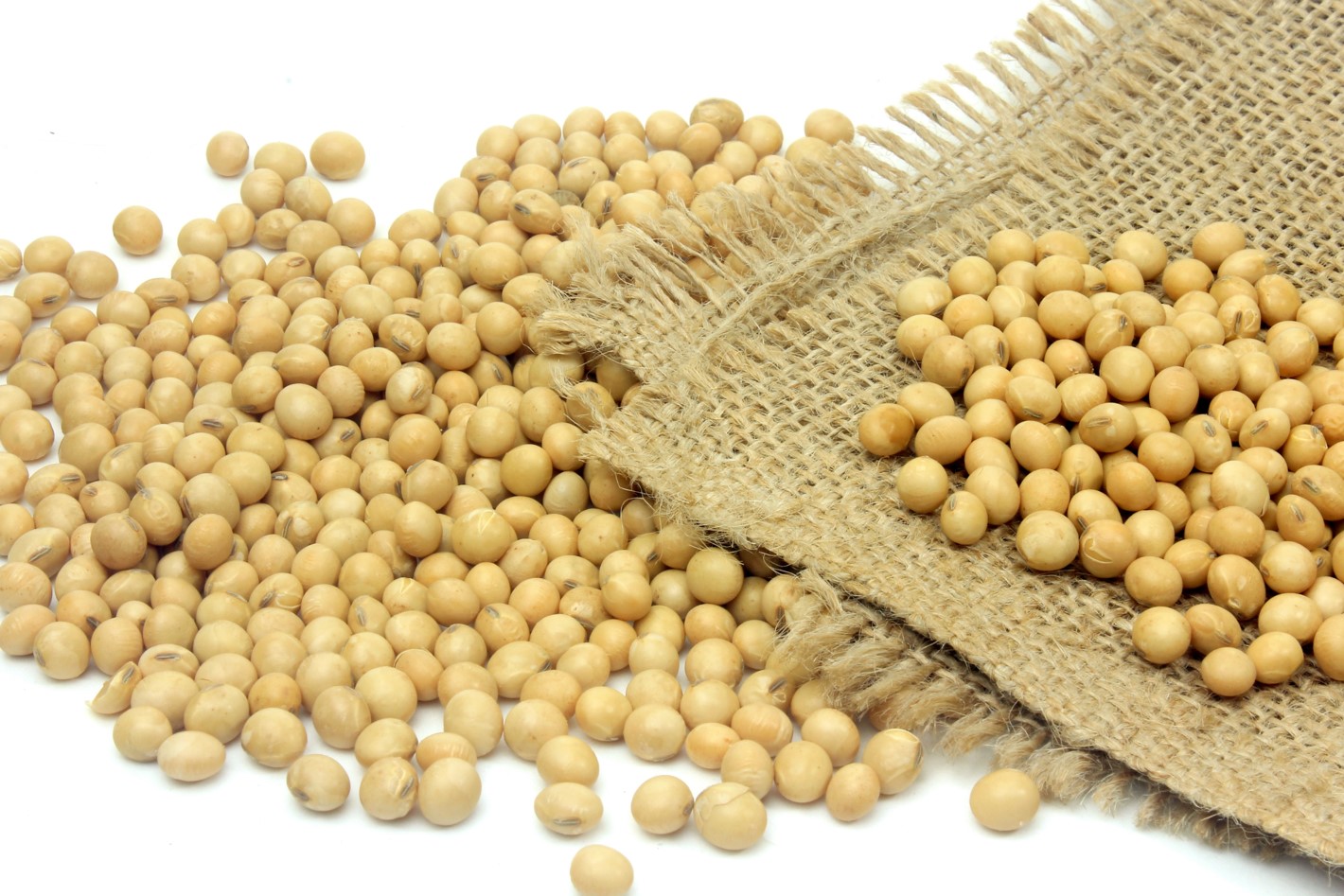 Soya genéticamente modificada con CriprCss9 Soya genéticamente modificado
