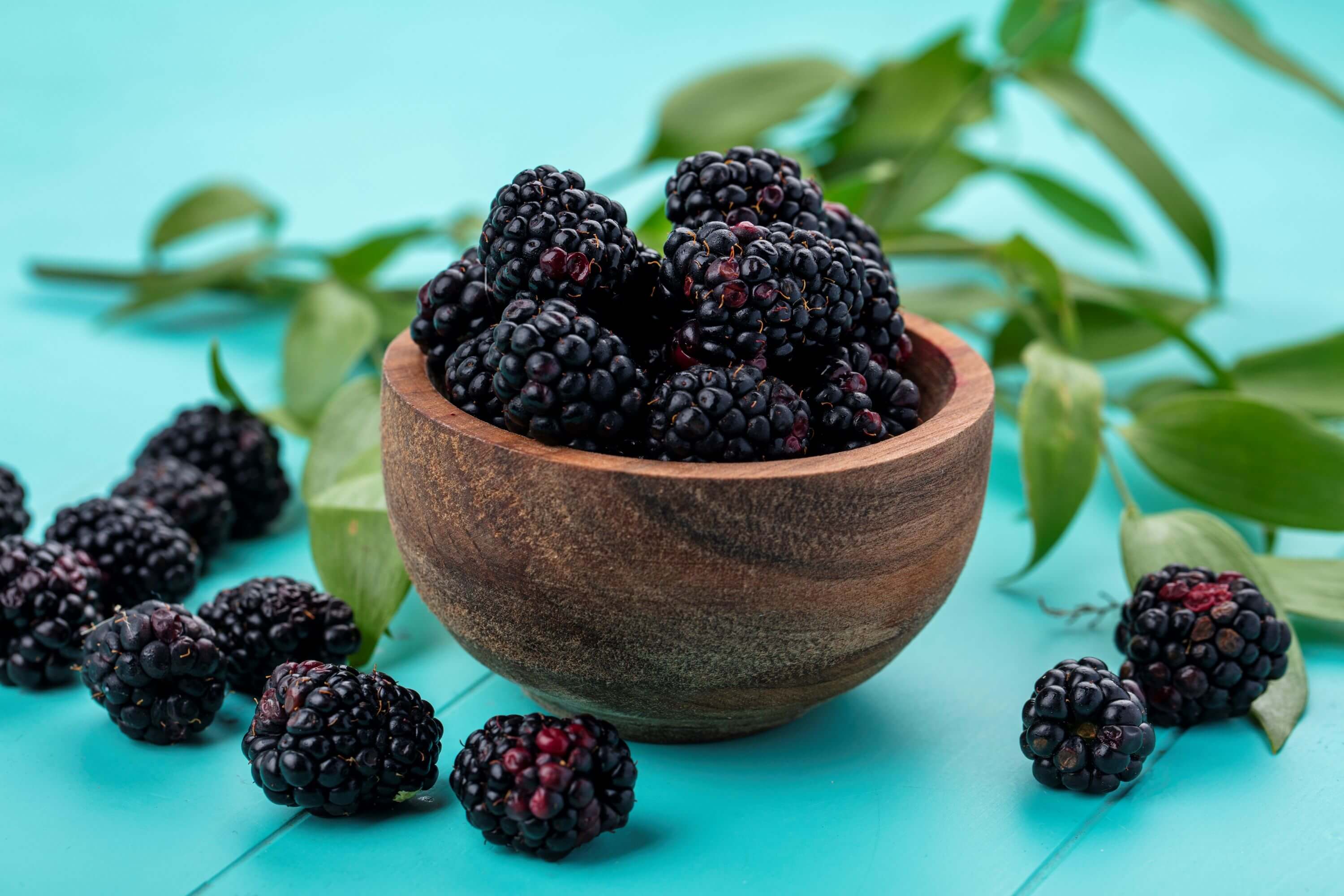 Foto de tazón de moras - mora sin semillas Foto de tazón de moras - mora sin semillas
