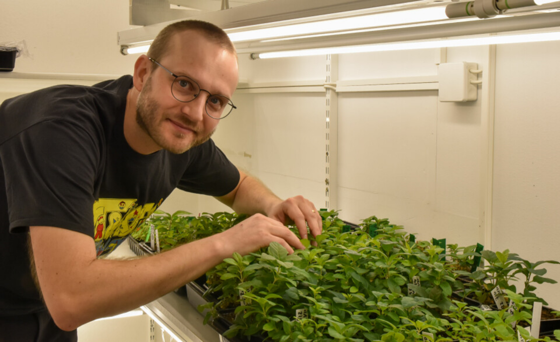 sjur sandring cientifico noruego