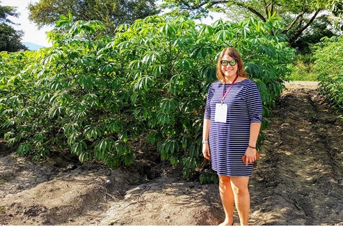 Foto cortesía IGI: Jessica Lyons en un campo de yuca en el Centro Internacional de Agricultura Tropical en Colombia