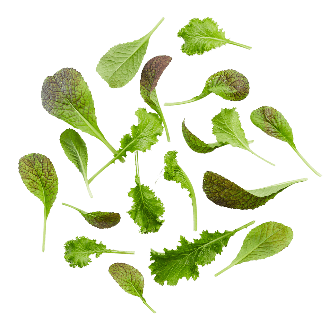 mostazas crispr