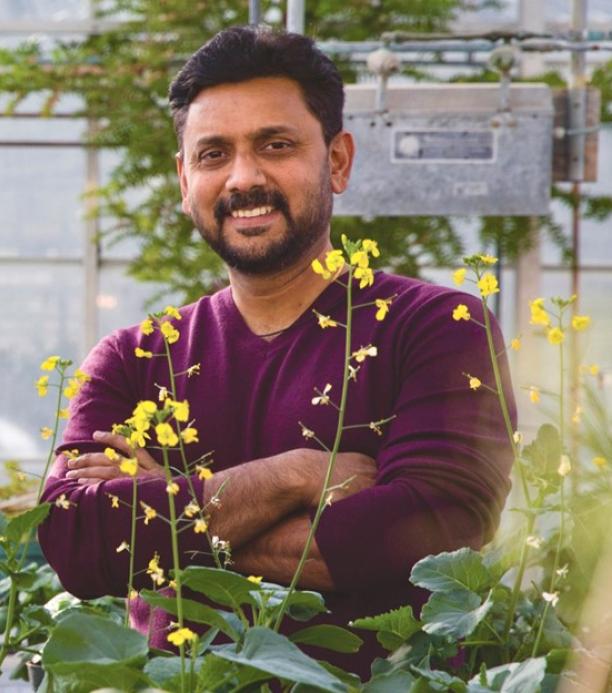 Uno de los investigadores que mejoró la producción de aceite de canola.