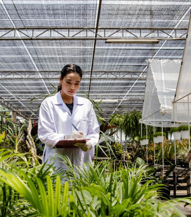 crispr-combo-cultivo