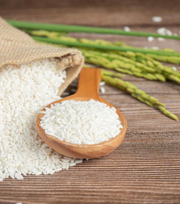 crispr mejora producción arroz