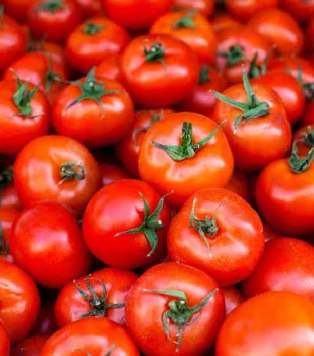 Tomates editados con Crispr